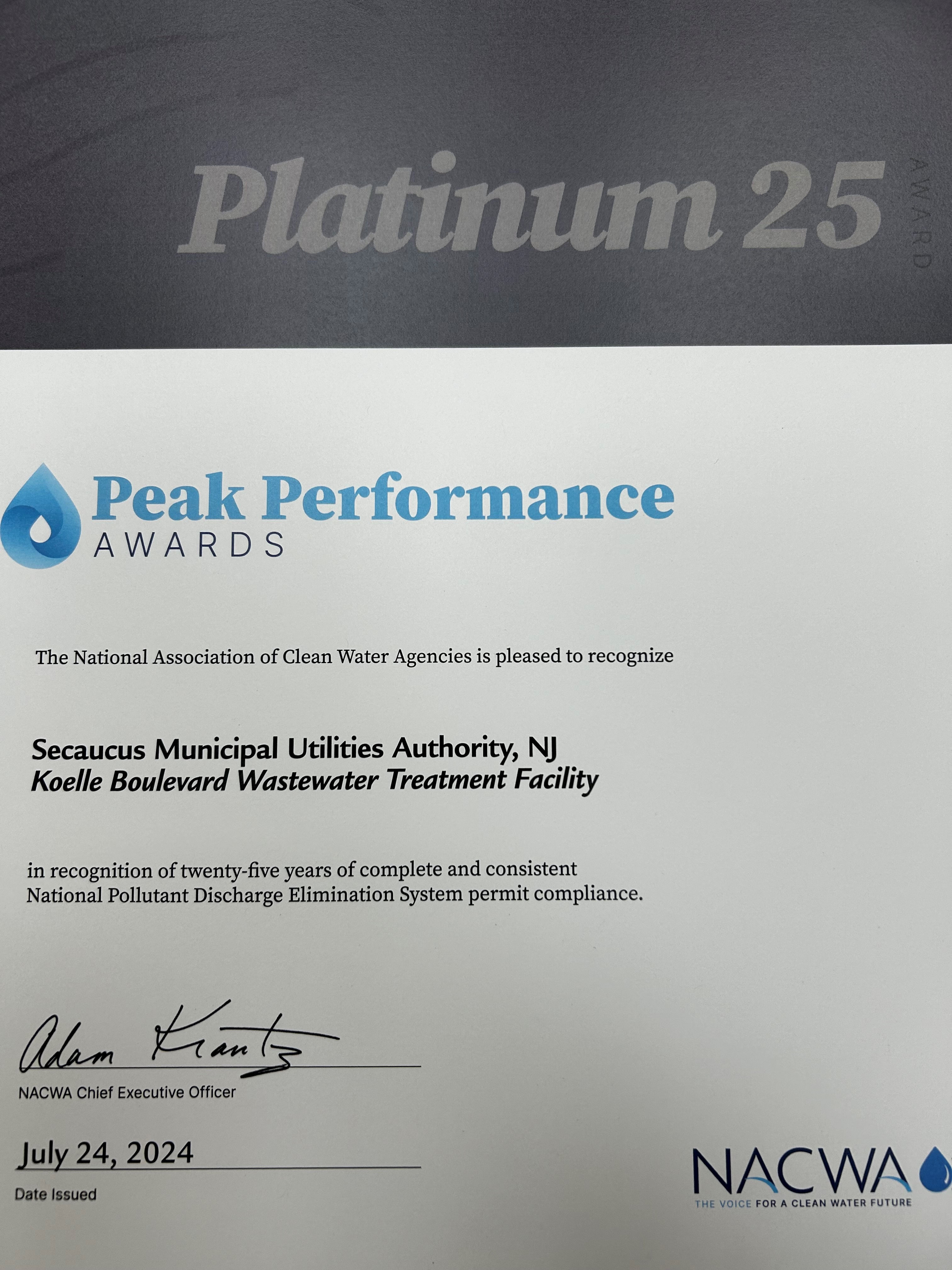 2024 Peak Performance Award